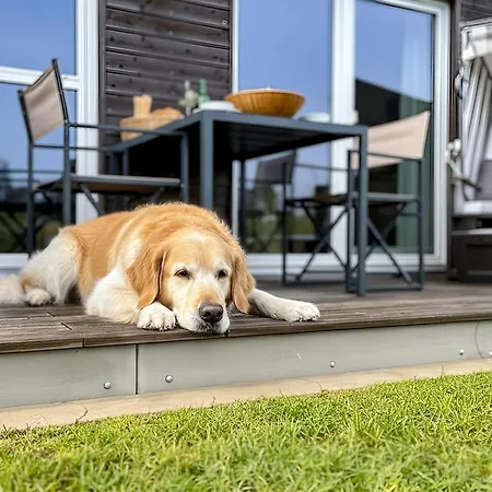 New Port Lounge - Eg, Hafenblick, Terrasse Apartment Olpenitz